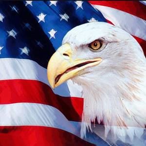 Meet your Posher, Noel